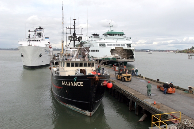 Large working class vessels moored at a dock in Bellingham